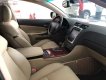 Lexus GS   2010 - Cần bán Lexus GS 350 đời 2010, màu đen, nhập khẩu  