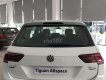 Volkswagen Tiguan 2018 - Bán Volkswagen Tiguan đời 2018, màu trắng, nhập khẩu