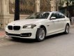 BMW 5 Series 2015 - Bán BMW 5 Series 520i năm 2015, màu trắng, xe nhập