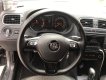 Volkswagen Polo 2017 - Bán xe Volkswagen Polo sản xuất năm 2017, màu xám, nhập khẩu nguyên chiếc chính chủ, giá chỉ 586 triệu