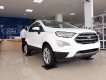 Ford EcoSport 2019 - Bán Ford EcoSport Titanium 2019, đủ màu, chỉ với 150tr nhận xe, film, bảo hiểm, camera hành trình, LH 0974286009