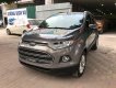 Ford EcoSport 2016 - Cần bán Ford EcoSport năm sản xuất 2016