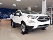 Ford EcoSport 1.5L AT Titanium 2019 - Ford An Đô - Chuyên bán dòng xe Ford chính hãng: Ford EcoSport 1.5L AT Titanium đời 2019, màu trắng