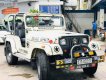 Jeep CJ 5 2.5 MT   1990 - Cần bán gấp Jeep CJ 5 2.5 MT đời 1990, màu trắng, nhập khẩu nguyên chiếc