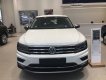 Volkswagen Tiguan   2018 - Hỗ trợ giao xe nhanh toàn quốc chiếc xe Volkswagen Tiguan Allspace, đời 2019, nhập khẩu nguyên chiếc