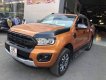 Ford Ranger Wildtrak 2.0 Bitubo 4x4  2018 - Bán Ford Ranger Wildtrak 2.0 Bitubo 4x4 sản xuất 2018, nhập khẩu