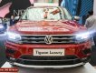 Volkswagen Tiguan 2019 - Volkswagen Tiguan Allspace Luxury, phiên bản giới hạn chỉ còn 2 xe 