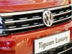 Volkswagen Tiguan 2019 - Volkswagen Tiguan Allspace Luxury, phiên bản giới hạn chỉ còn 2 xe 