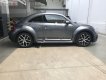 Volkswagen Beetle 2017 - Cần bán Volkswagen Beetle đời 2017, màu xám, nhập khẩu nguyên chiếc