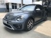 Volkswagen Beetle 2017 - Cần bán Volkswagen Beetle đời 2017, màu xám, nhập khẩu nguyên chiếc