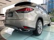 Lexus RX   300  2020 - Bán Lexus RX 300 sản xuất năm 2020, màu bạc, xe nhập