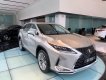 Lexus RX   300  2020 - Bán Lexus RX 300 sản xuất năm 2020, màu bạc, xe nhập