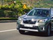 Subaru Forester   2019 - Bán ô tô Subaru Forester đời 2019, nhập khẩu nguyên chiếc giá cạnh tranh