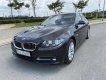 BMW 5 Series   2017 - Cần bán BMW 520i đời 2017, nhập khẩu