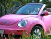 Volkswagen Beetle   2009 - Bán Volkswagen Beetle sản xuất năm 2009, xe mui trần xếp điện