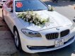 BMW 5 Series       2010 - Cần bán BMW 5 Series năm 2010, nhập khẩu