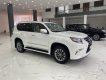 Lexus GX   2014 - Cần bán xe Lexus GX460 đời 2014, xe nhập