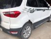 Ford EcoSport 2016 - Bán ô tô Ford EcoSport năm sản xuất 2016, màu trắng, xe nhập, 480 triệu