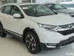 Honda CR V   2019 - Bán Honda CR V đời 2019, màu trắng, nhập khẩu, 983 triệu