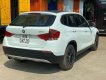 BMW X1   2010 - Bán xe cũ BMW X1 sản xuất 2010, nhập khẩu