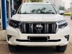 Toyota Prado 2010 - Bán ô tô Toyota Prado đời 2010, màu trắng, nhập khẩu