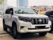 Toyota Prado 2010 - Bán ô tô Toyota Prado đời 2010, màu trắng, nhập khẩu