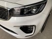 Kia Sedona 2019 - Bán Kia Sedona Luxury 2.2DATH năm sản xuất 2019, màu trắng