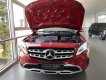 Mercedes-Benz CLA class   2019 - Cần bán xe Mercedes 2019, màu đỏ, nhập khẩu