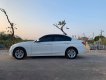 BMW 3 Series 2016 - Cần bán BMW 3 Series năm 2016, màu trắng, nhập khẩu