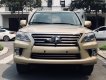 Lexus LX  570    2010 - Cần bán xe Lexus LX 570 đời 2010, nhập khẩu nguyên chiếc