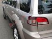 Ford Escape 2009 - Cần bán lại xe Ford Escape đời 2009, màu bạc