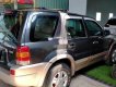 Ford Escape   2003 - Bán Ford Escape đời 2003, màu xám, nhập khẩu  