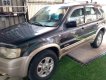 Ford Escape   2003 - Bán Ford Escape đời 2003, màu xám, nhập khẩu  