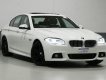 BMW 5 Series   2015 - Bán ô tô BMW 520i 2015, màu trắng, nhập khẩu, 900 triệu