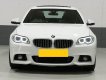 BMW 5 Series   2015 - Bán ô tô BMW 520i 2015, màu trắng, nhập khẩu, 900 triệu