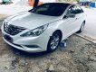 Hyundai Sonata   2010 - Bán Hyundai Sonata năm 2010, màu trắng, nhập khẩu  