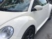 Volkswagen New Beetle 2006 - Cần bán gấp Volkswagen New Beetle năm sản xuất 2006, nhập khẩu, 476tr