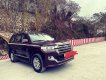 Toyota Land Cruiser 2019 - Bán ô tô Toyota Land Cruiser năm sản xuất 2019, màu đen chính chủ