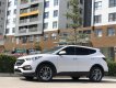 Hyundai Santa Fe 2017 - Cần bán Huyndai Santafe 4WD máy dầu, full option model 2017