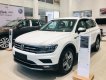 Volkswagen Tiguan All Space 2019 - Volkswagen Tiguan Allspace nhập khẩu, TẶNG 50% PHÍ TRƯỚC BẠ, trả góp 0% năm đầu, lấy xe với 350tr trả trước