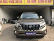 Toyota Prado 2014 - Bán Toyota Prado sản xuất 2014, màu nâu, nhập khẩu nguyên chiếc