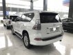 Lexus GX460 2015 - Cần bán Lexus GX460 Xuất Mỹ xe sản xuất 2015 đăng ký cuối 2016 tên cá nhân một chủ từ đầu