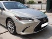 Lexus ES 250 2020 - Cần bán xe Lexus ES 250 đời2020, màu xám, nhập khẩu nguyên chiếc