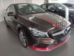 Mercedes-Benz CLA class   2017 - Cần bán xe Mercedes CLA200 sản xuất 2017, màu nâu mới 99%