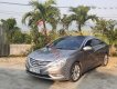 Hyundai Sonata 2010 - Bán Hyundai Sonata sản xuất năm 2010, màu xám, xe nhập 