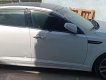 Kia Optima   2016 - Bán Kia Optima 2.0 AT sản xuất 2016, màu trắng, nhập khẩu