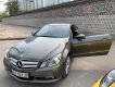 Mercedes-Benz E class  E350   2010 - Cần bán gấp Mercedes E350 2010, giá tốt