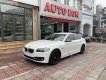 BMW 5 Series 2016 - Cần bán lại xe BMW 5 Series 520i sản xuất 2016, màu trắng, nhập khẩu nguyên chiếc