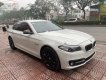 BMW 5 Series 2016 - Cần bán lại xe BMW 5 Series 520i sản xuất 2016, màu trắng, nhập khẩu nguyên chiếc