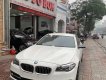 BMW 5 Series 2016 - Cần bán lại xe BMW 5 Series 520i sản xuất 2016, màu trắng, nhập khẩu nguyên chiếc